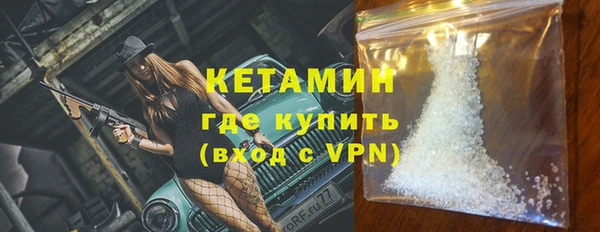 шишки Новодвинск