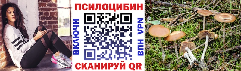мориарти состав  где купить   Новодвинск  Псилоцибиновые грибы Psilocybine cubensis 