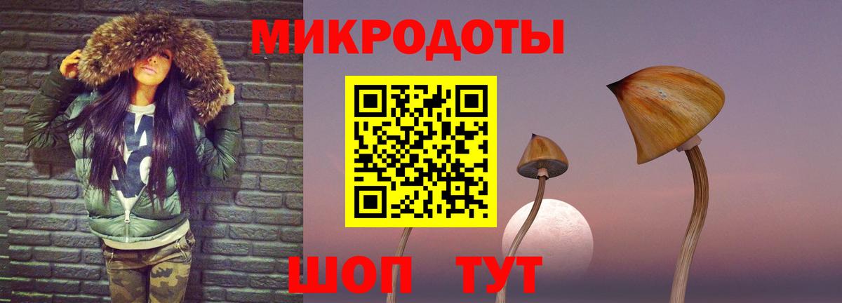 Галлюциногенные грибы ЛСД Новодвинск