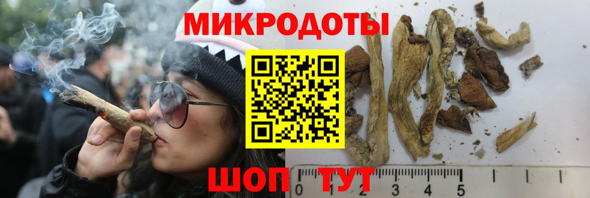 Галлюциногенные грибы ЛСД  Вход с VPN  Новодвинск 